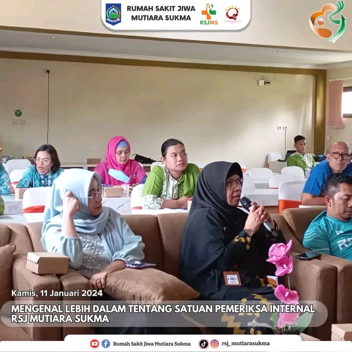 MENGENAL LEBIH DALAM TENTANG SATUAN PEMERIKSA INTERNAL  RSJ MUTIARA SUKMA